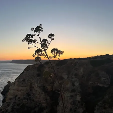 Casa Ensolarada شقة