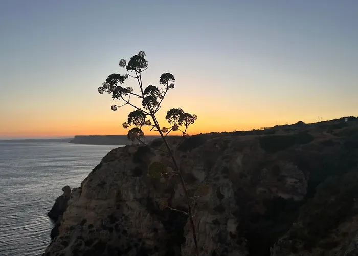 Casa Ensolarada Apartamento